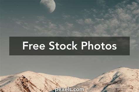 pexels free stock photos|shutterstock royalty stock photos and images.